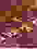 item-89776203=6
