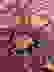 item-89776205=6