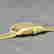 item-111586756=3