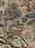 item-113611624=3