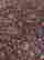 item-113611765=2