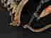 item-113611799=6