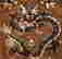 item-113611903=3