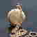 item-131255665=3