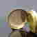 item-131255666=7