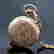 item-131255695=4