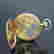 item-131255777=9