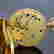 item-131255814=6
