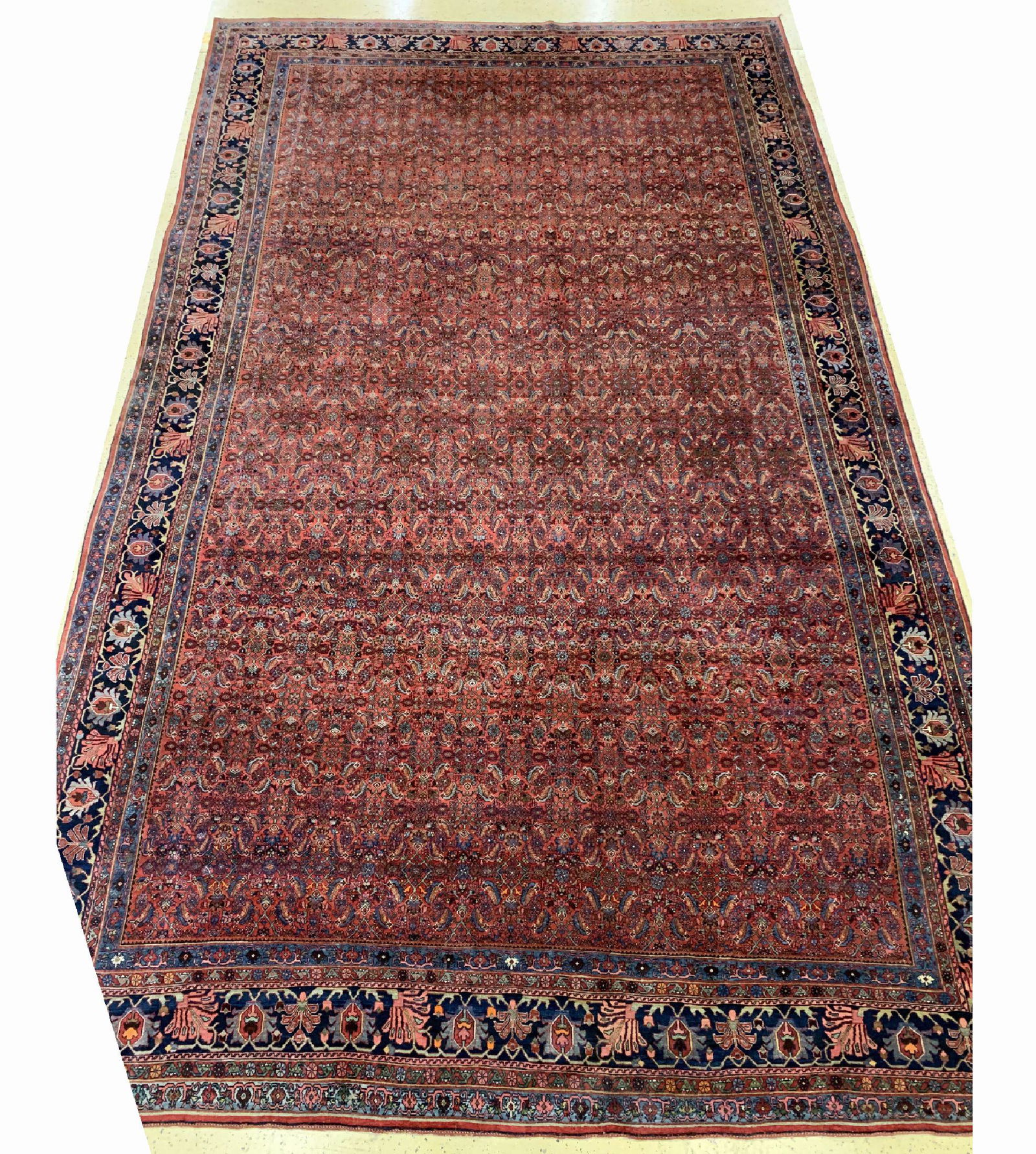 Antique Bijar, Persia, around 1920, wool on cotton (1 of 1)