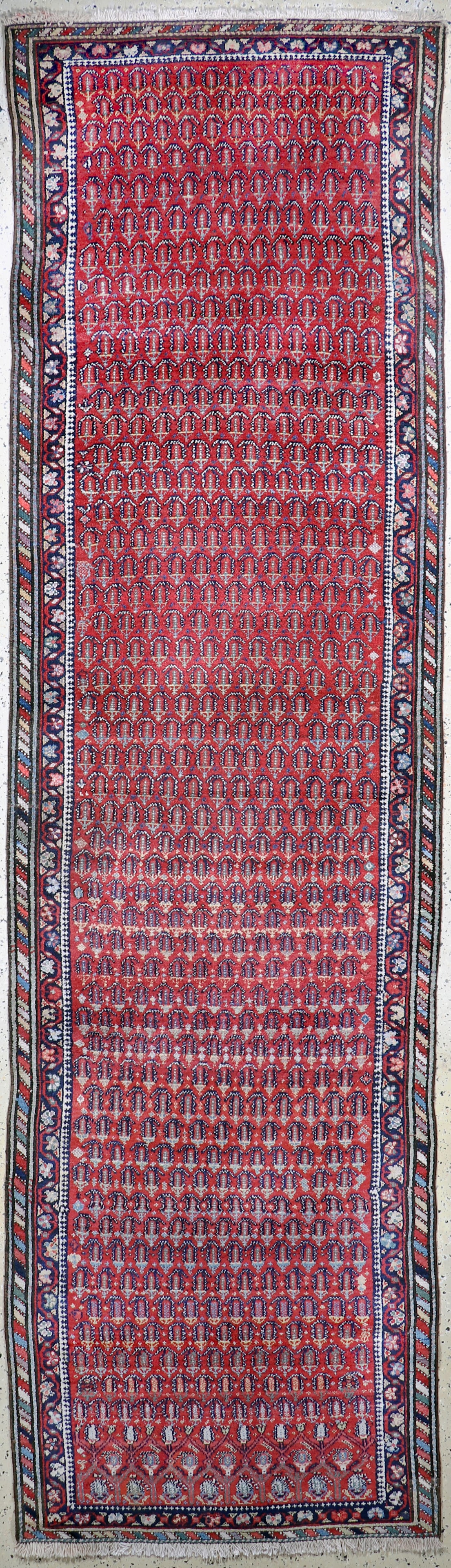 Shahsawan antique, Persia, around 1900, wool on cotton (1 of 7)