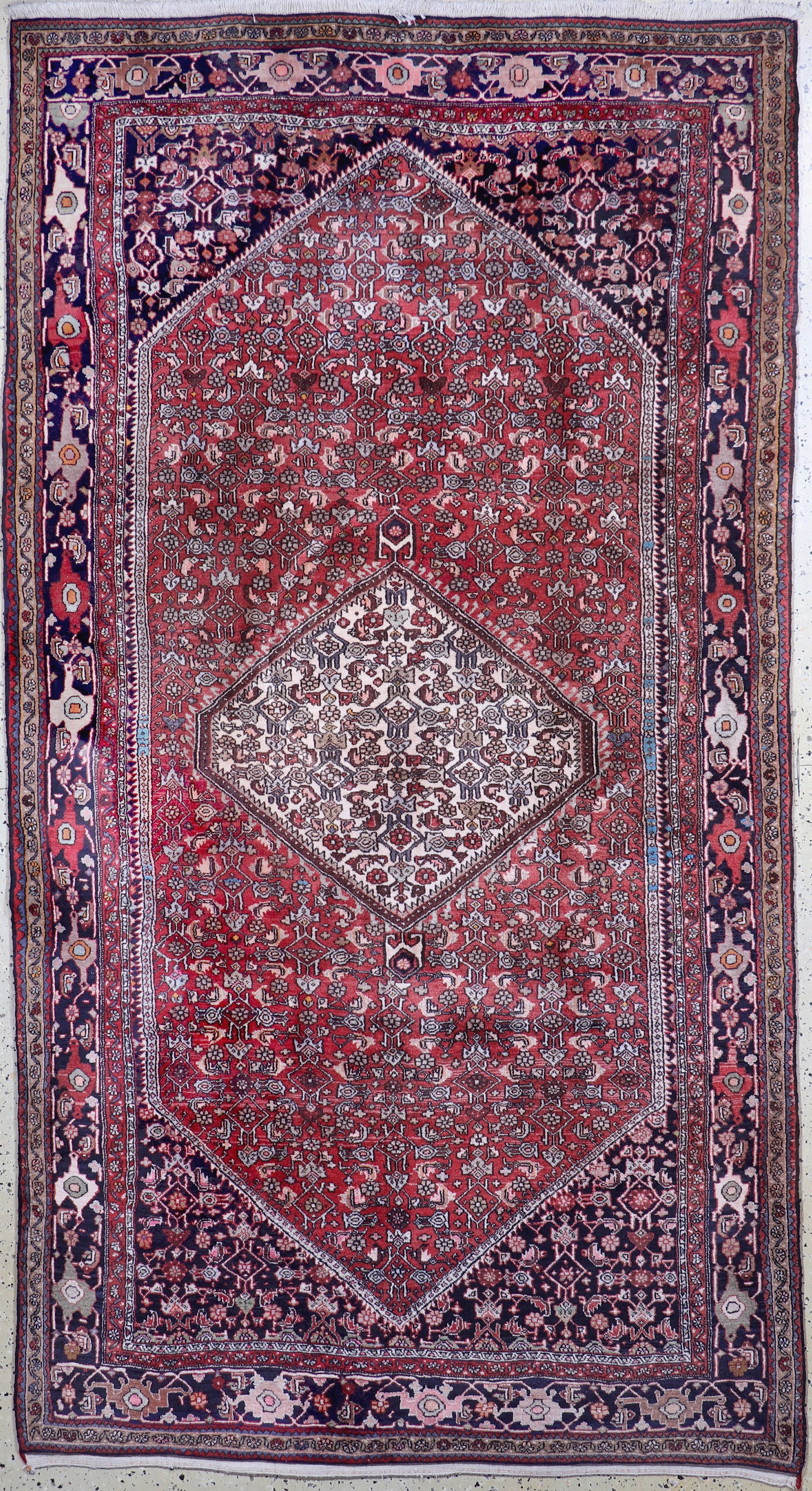 Bijar, Persia, mid-20th century, wool on cotton (1 of 7)