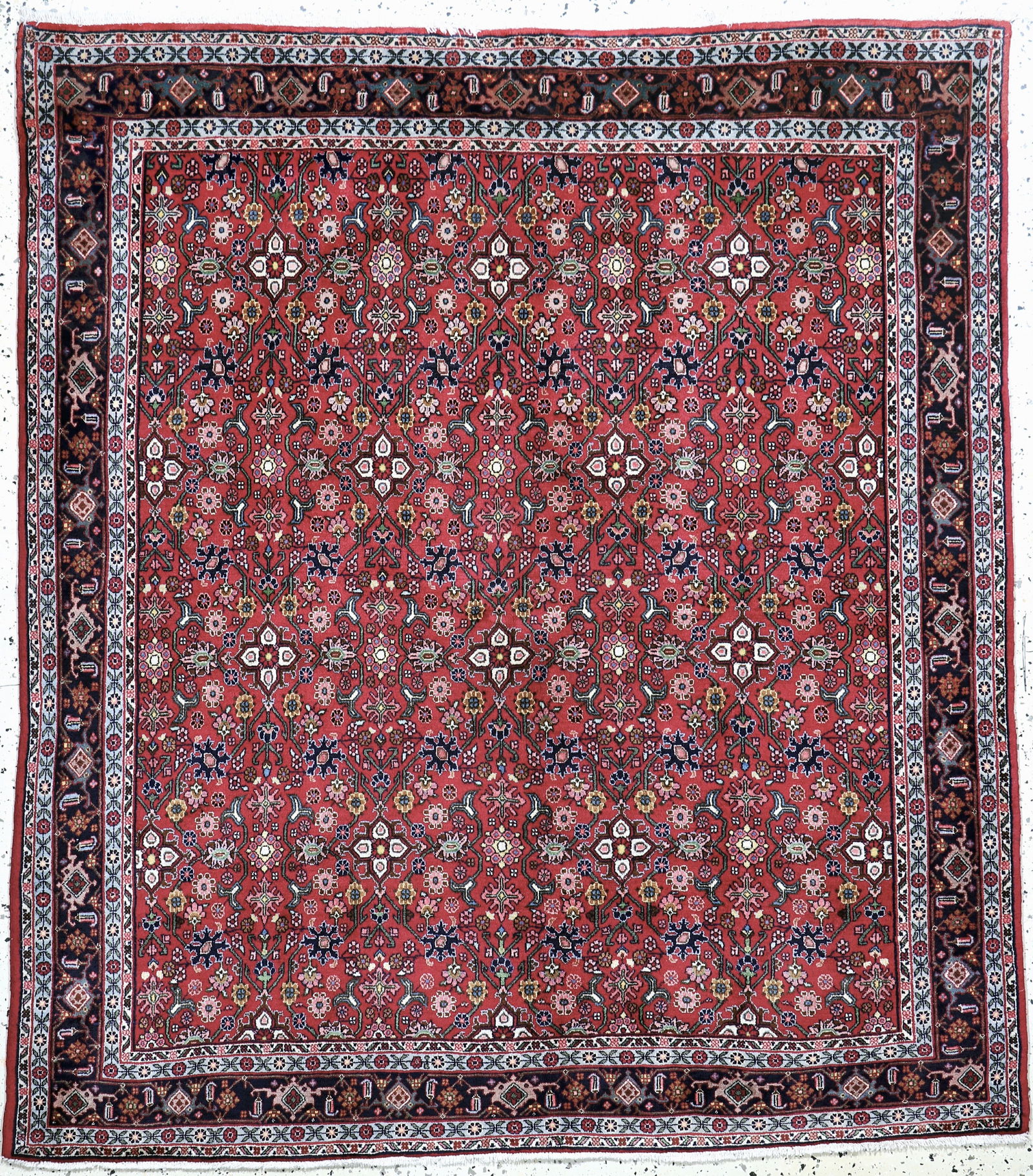 Bijar fine, Persia, mid-20th century, corkwool (1 of 7)