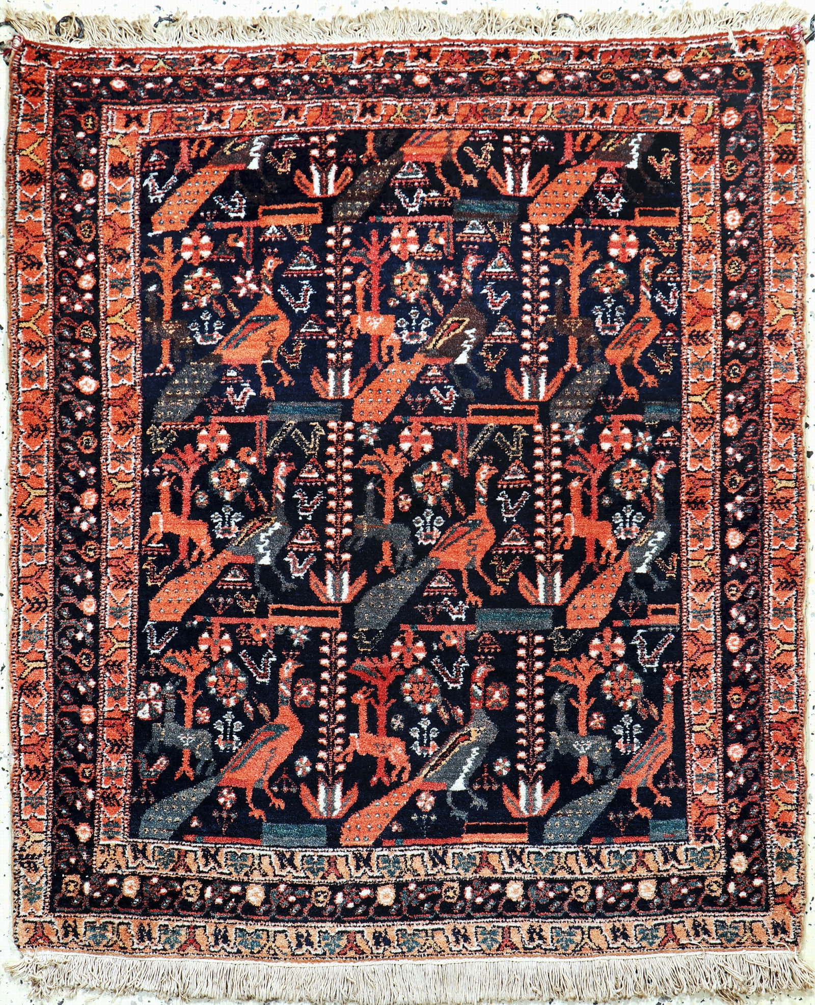 Afshar old, Persia, early 20th century, wool on cotton (1 of 5)