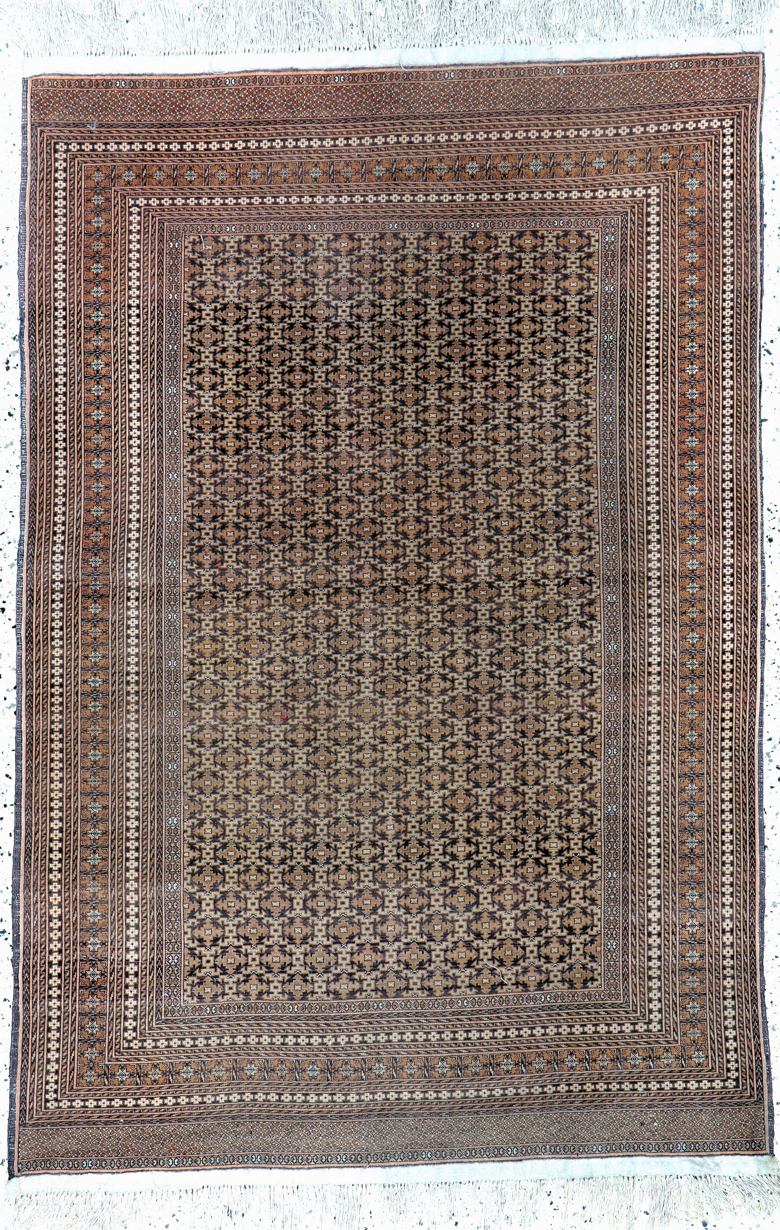 Mauri fine, Afghanistan, late 20th century, Wolle auf (1 of 6)