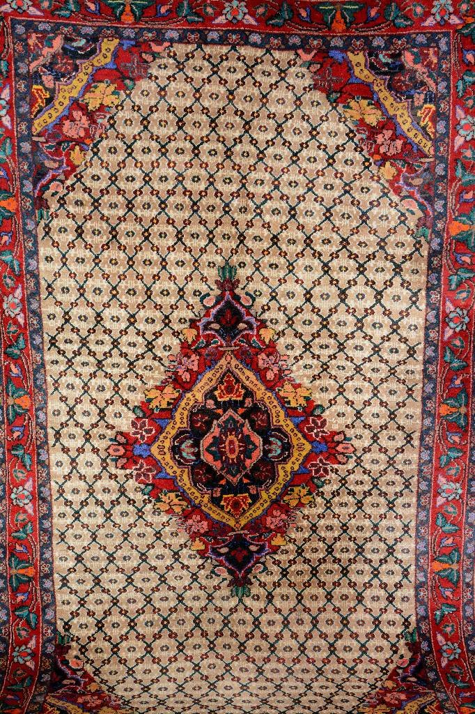 Koliai, Persia, 50 years old, wool/cotton, approx. 260 (1 of 1)
