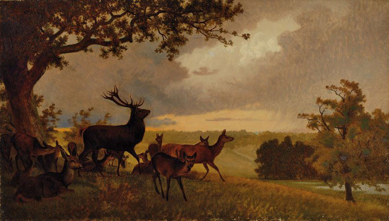 Attribution: John Christian Deiker (1 of 1)