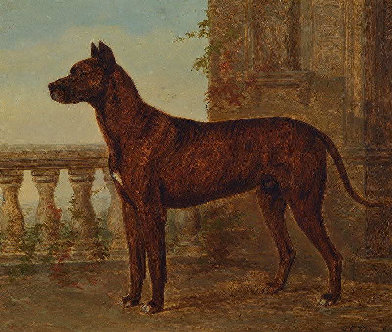 Friedrich Emil Klein, 1841-1921: Friedrich Emil Klein, 1841 Elberfeld 1921 Dusseldorf, historical portrait, and animal painter, studied at the Düsseldorf Academy, Great Dane in front of a balustrade on the terrace, oil / canvas, sig