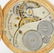 ELGIN National Watch Co. 14k gold pocket watch - 7