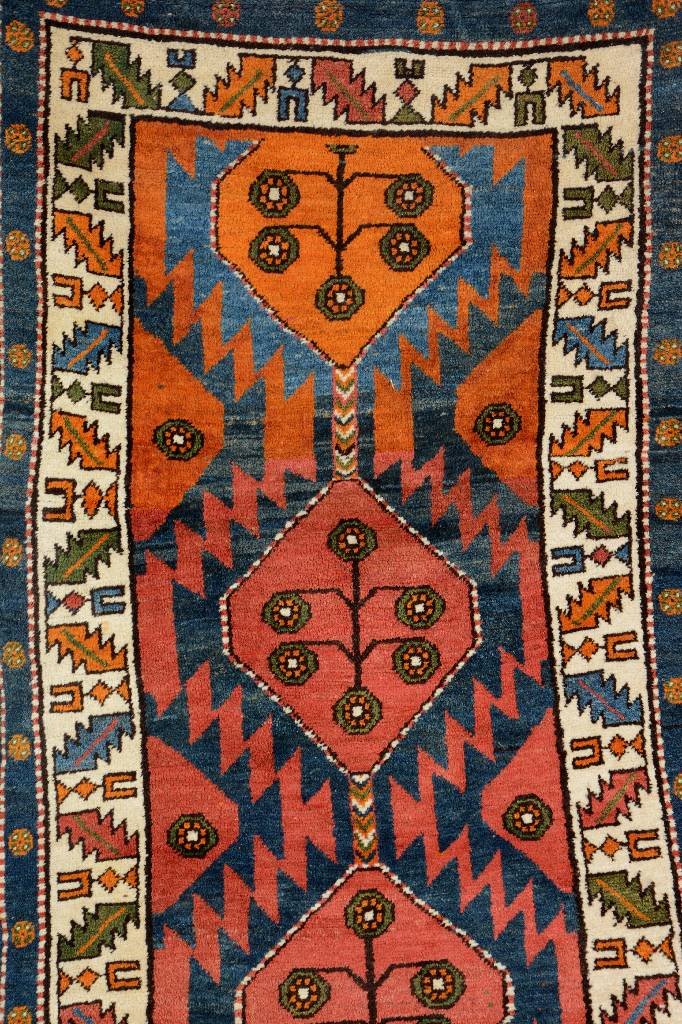 Northwest Persian 'Runner', (1 of 1)