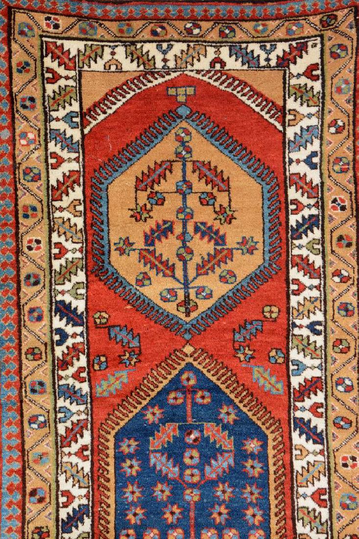 Northwest Persian 'Runner', (1 of 1)