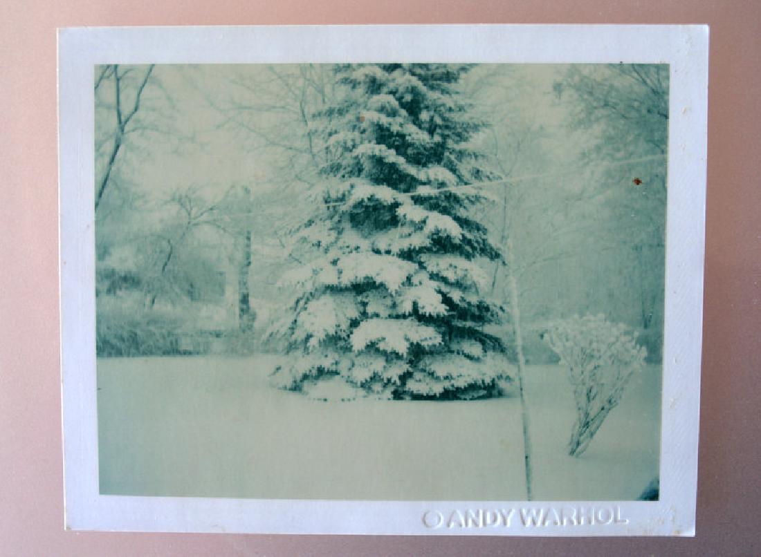 Andy Warhol, , photograph. (1 of 2)