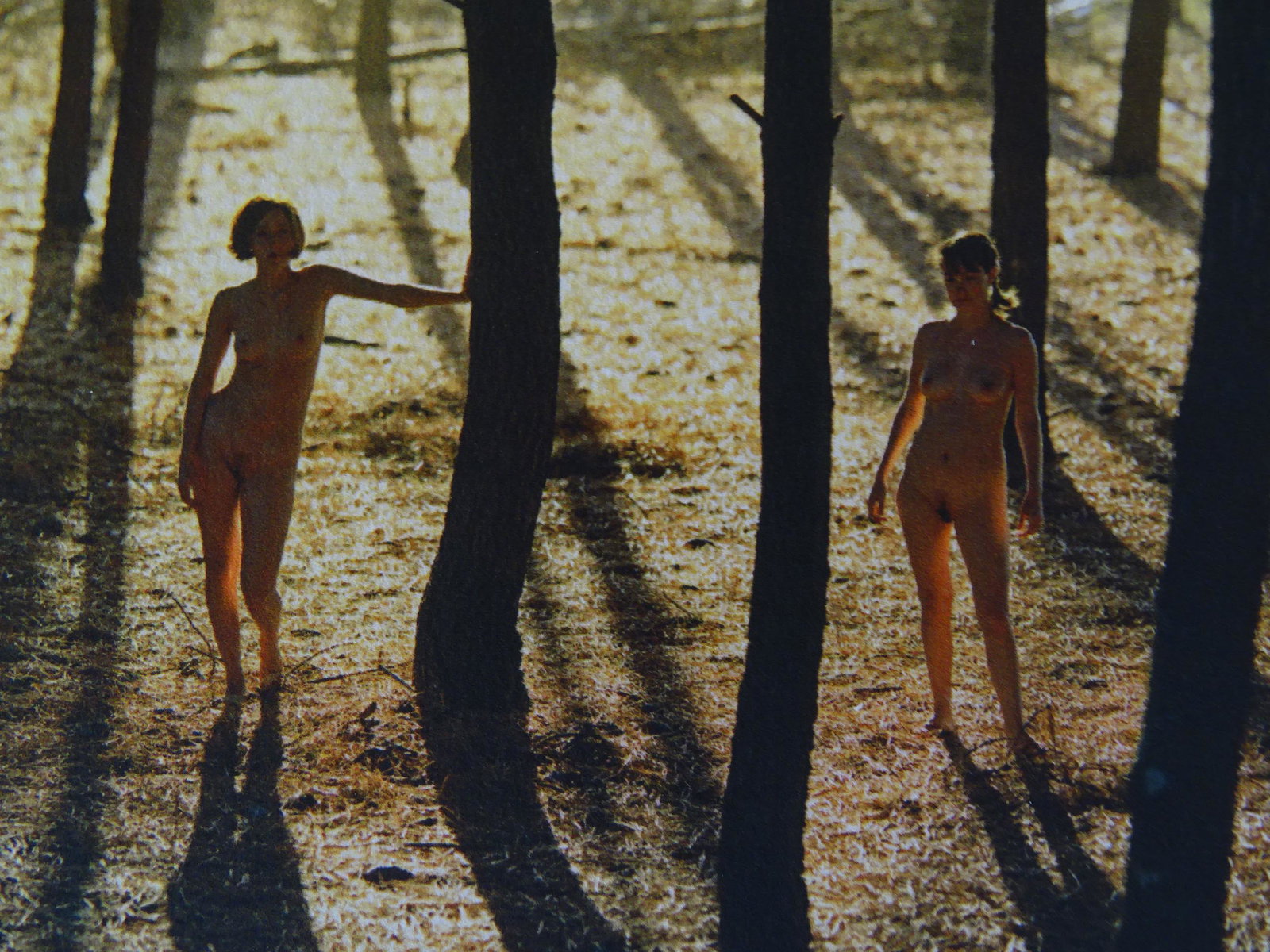 Jock Sturges, photograph- Hand signed -numbered (1 of 5)