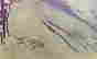 item-130818150=3