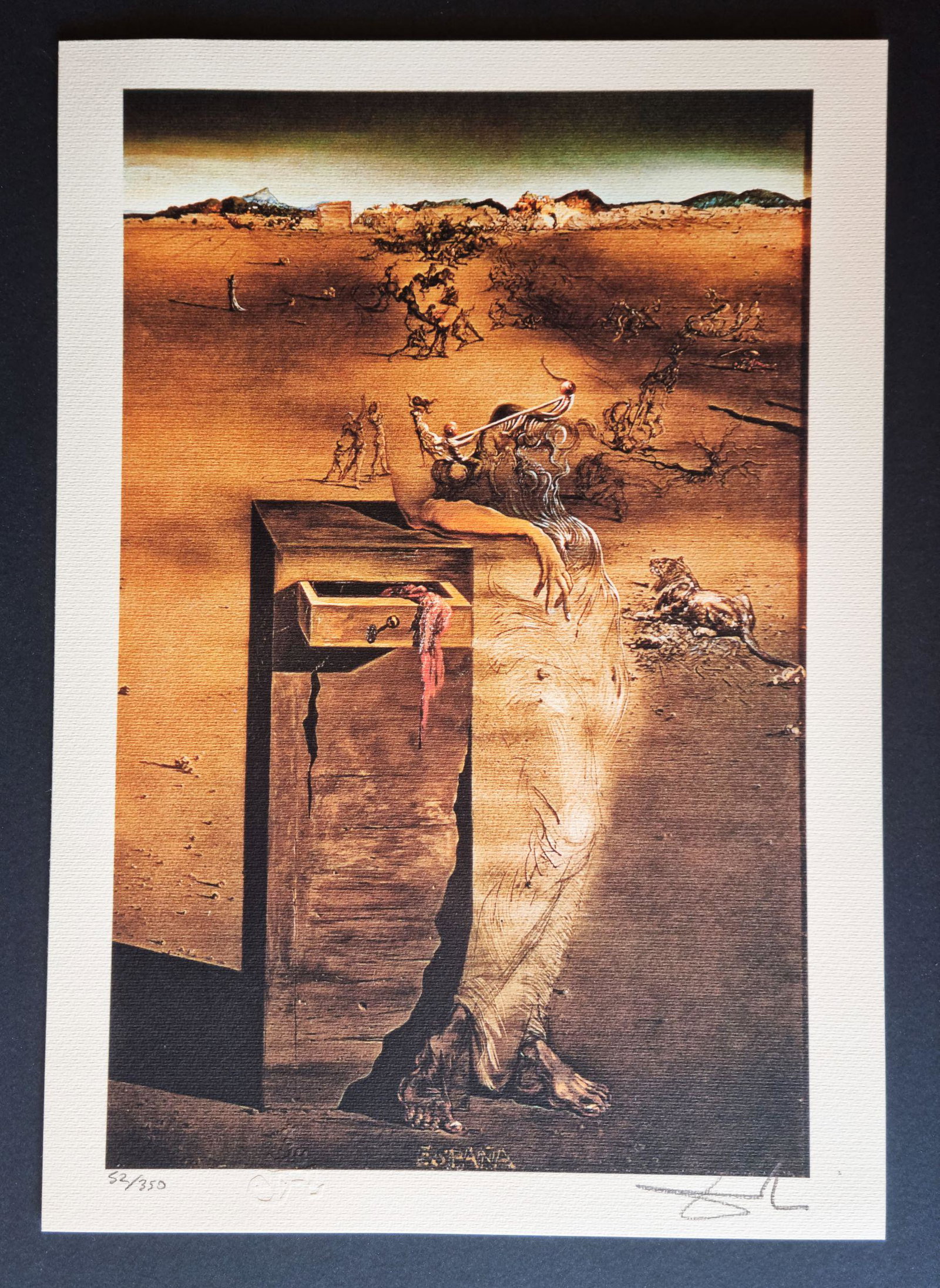 Salvador Dali Lithograph signed by hand, paper 300 gm (1 of 3)