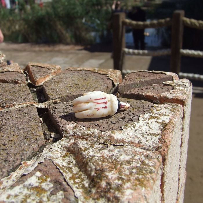 BANKSY- MICKEY MOUSE HAND DISMALHAND (1 of 5)