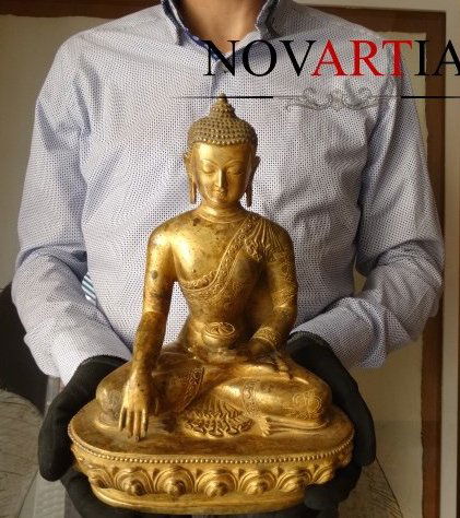 Magnificent Gold Gilt Bronze Seated Medicine Buddha (1 of 10)