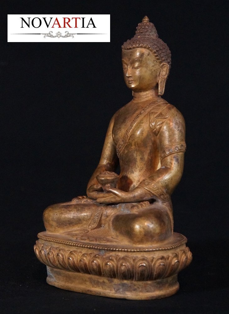 Magnificent Gold Gilt Bronze Seated Medicine Buddha (1 of 10)