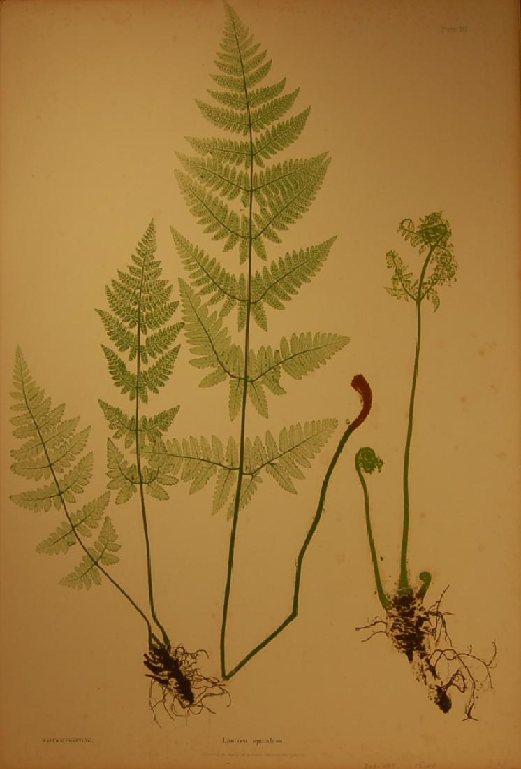 Thomas Moore and Henry Bradbury (1 of 1)