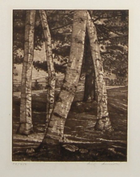 Luigi Lucioni (1900-1988) Italian. Etching,: Birch Trees, Circa 1960. Etching on wove paper,signed and numbered 36/250 in pencil. Size is 8"x10.5" on 13"x15.5" paper.