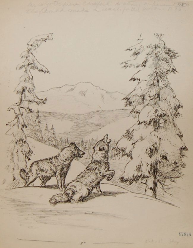 Margaret S. Johnson (1893-1964, American) (1 of 1)