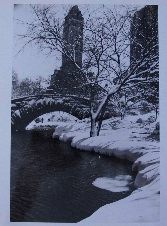 Original Vintage 1959 Alfred Eisenstaedt Photo Life (1 of 1)