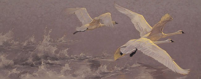 Greg Beecham - LIFT: Greg Beecham - LIFT - Hand Signed - Limited Edition Print - Image size: 30"w x 12"h. Limited Edition of: 550 - Beauty takes flight in this graceful work of art by wildlife artist Greg Beecham. I" like