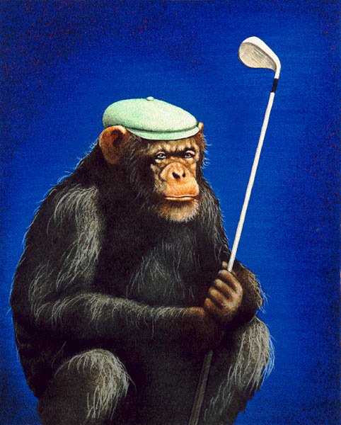 Will Bullas - THE CHIMP SHOT (1 of 1)