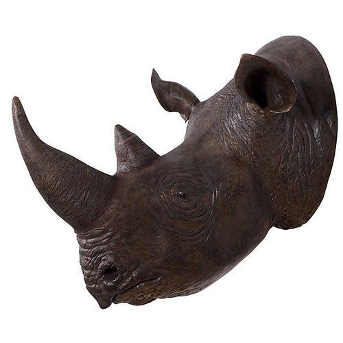 Rhinoceros Head (1 of 1)
