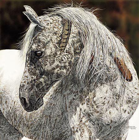 Judy Larson - MEDICINE CROW (1 of 1)