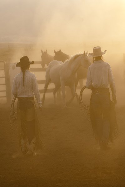 Robert Dawson - Take Your Pick: Robert Dawson - Take Your Pick Open Giclee Poster Dimensions: 30 x 20 Edition Size: Open