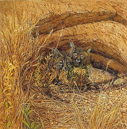 Bev Doolittle - FOX HAVEN: Bev Doolittle - FOX HAVEN