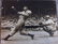 Sports Memorabillia