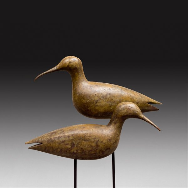 Robert Shaw - Nantucket Eskimo Curlews (1 of 1)