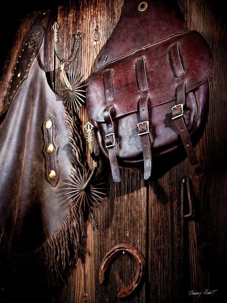 Barry  Hart.  Saddlebags n Chinks (1 of 1)