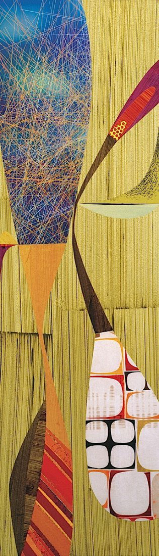 Rex Ray. Galapagos: Art Print on Canvas - Rex Ray. Galapagos