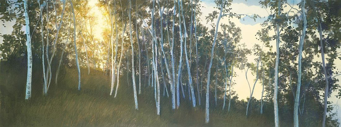 Elissa Gore. Hillside Birches: Art Print on Canvas - Elissa Gore. Hillside Birches