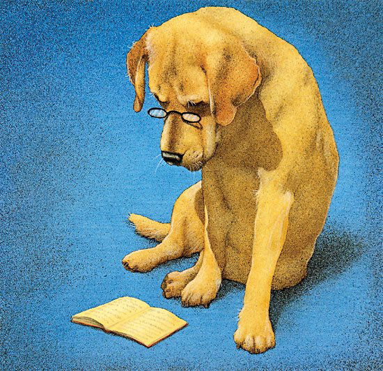 Will Bullas - Reading Lab (1 of 1)