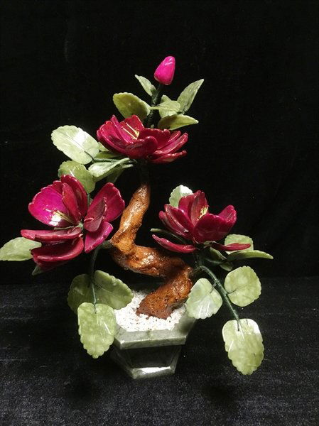 Red Jade Bonsai Roses (1 of 3)