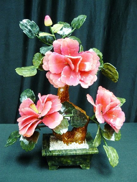 Pink Jade Bonsai Flowers (1 of 3)