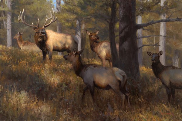 Kyle Sims - In the Middle of Things (1 of 1)